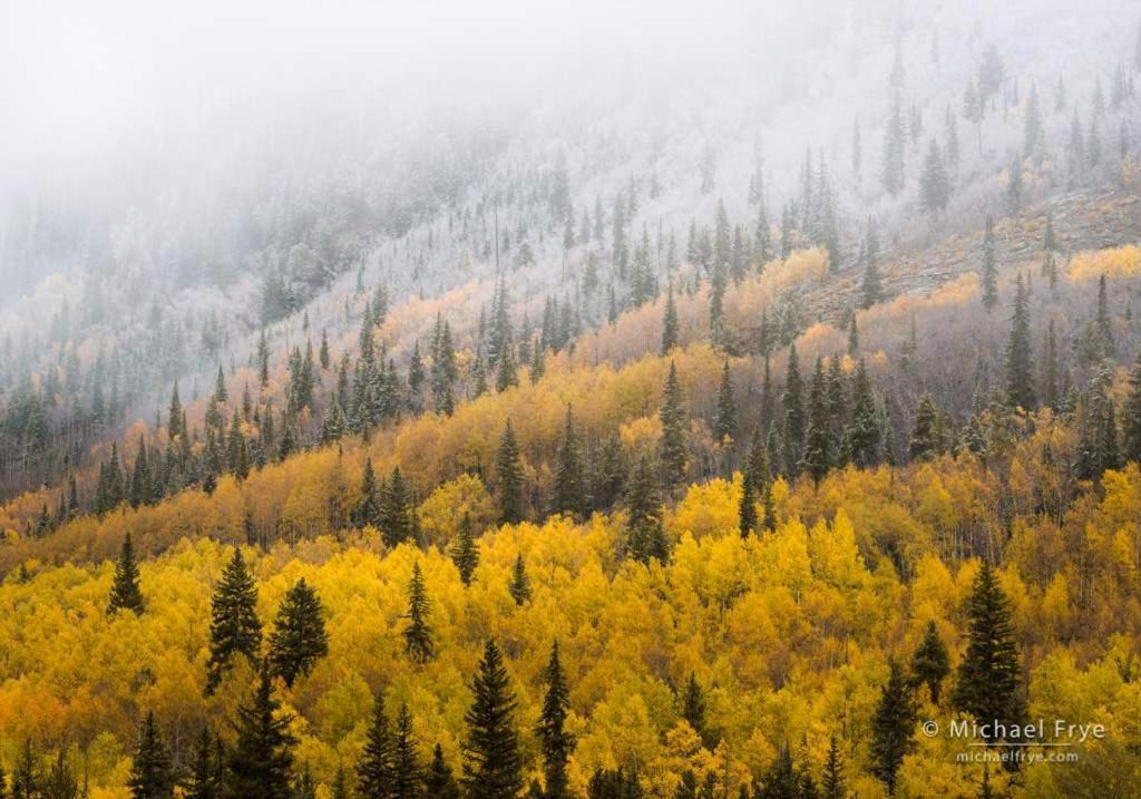 New Listing 2Br 2Ba Condo - Mountain Views Aspen Exterior foto